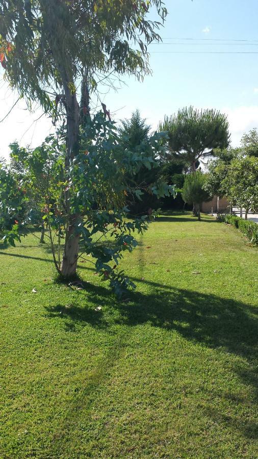 La Macchia Villa Botrugno Ngoại thất bức ảnh